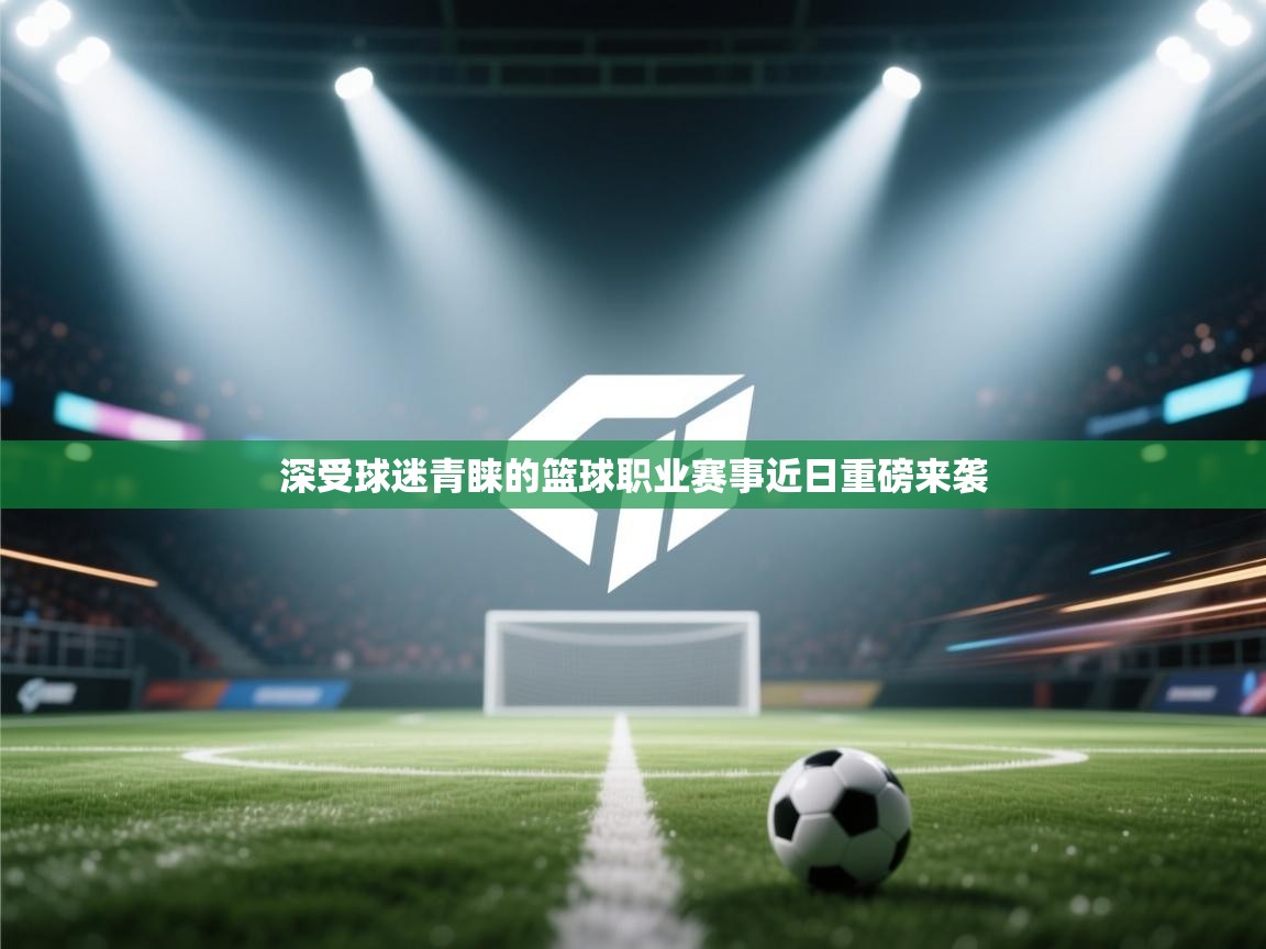 深受球迷青睐的篮球职业赛事近日重磅来袭 第1张