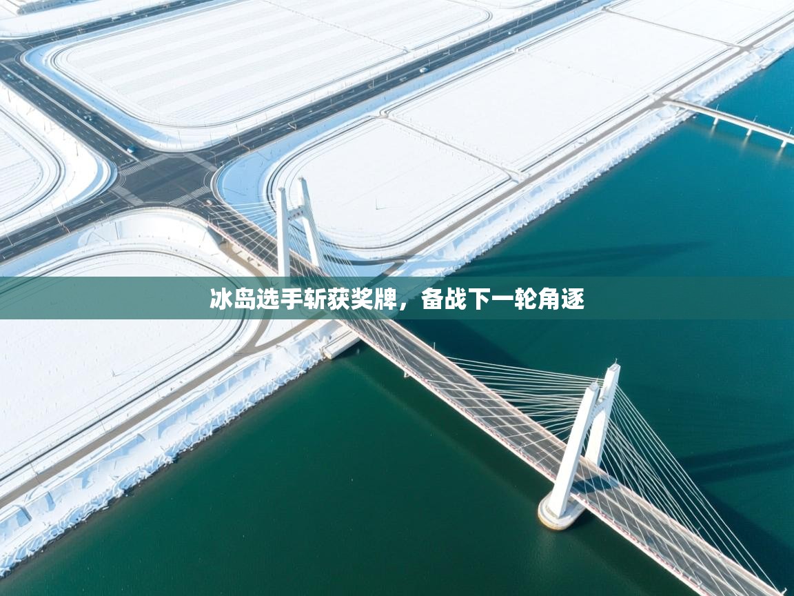 冰岛选手斩获奖牌，备战下一轮角逐  第1张