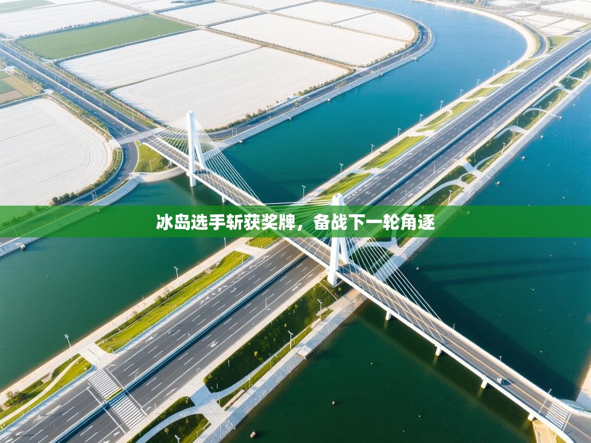 冰岛选手斩获奖牌，备战下一轮角逐  第2张