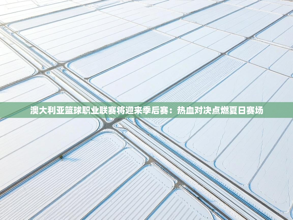 澳大利亚篮球职业联赛将迎来季后赛:热血对决点燃夏日赛场 第2张