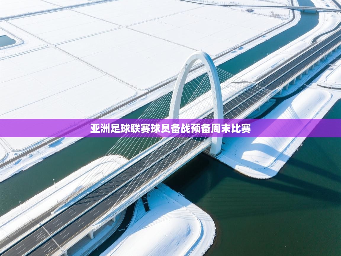 亚洲足球联赛球员备战预备周末比赛 第1张