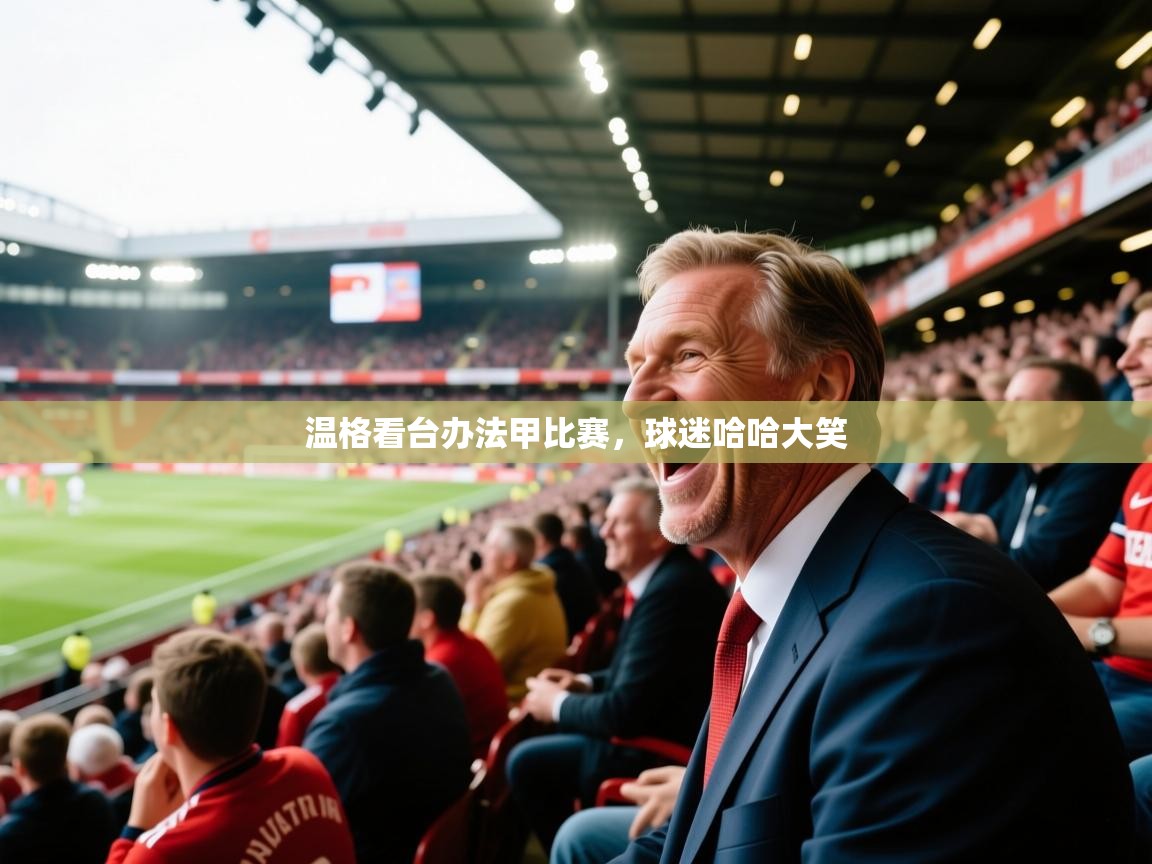 温格看台办法甲比赛,球迷哈哈大笑 第1张
