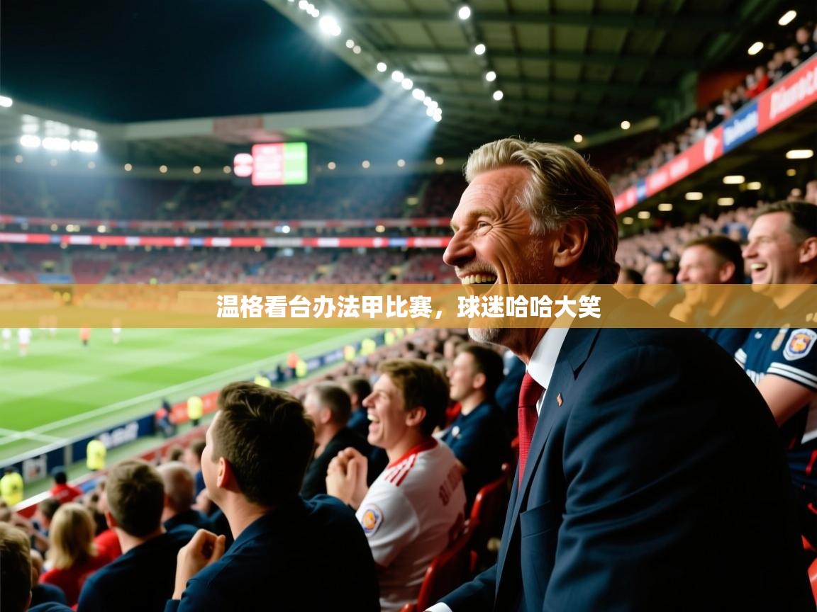 温格看台办法甲比赛,球迷哈哈大笑 第2张